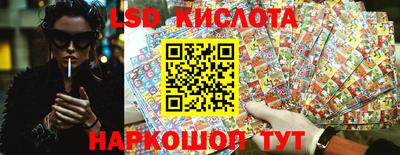 гидропоника Краснокаменск