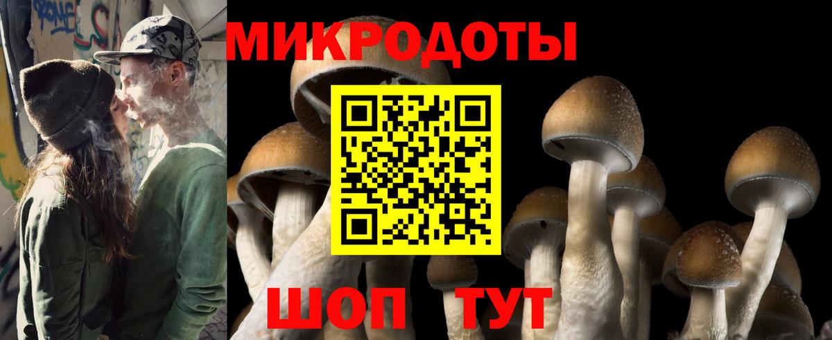 Галлюциногенные грибы MAGIC MUSHROOMS Железногорск